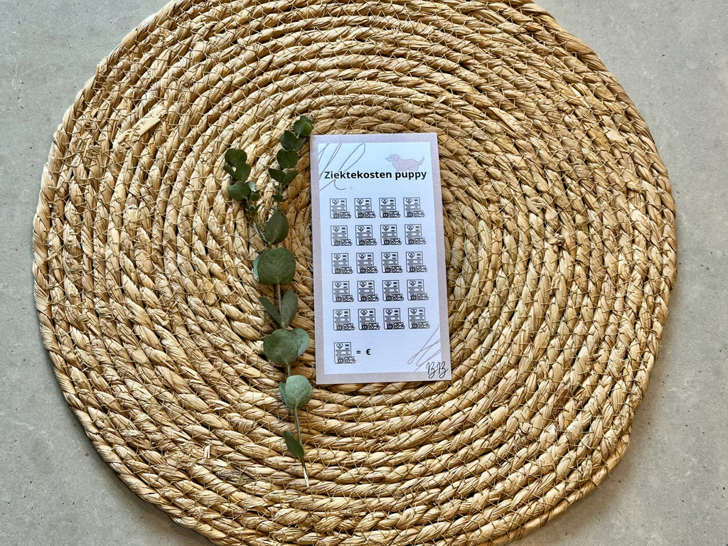 A6 Beige Challenges