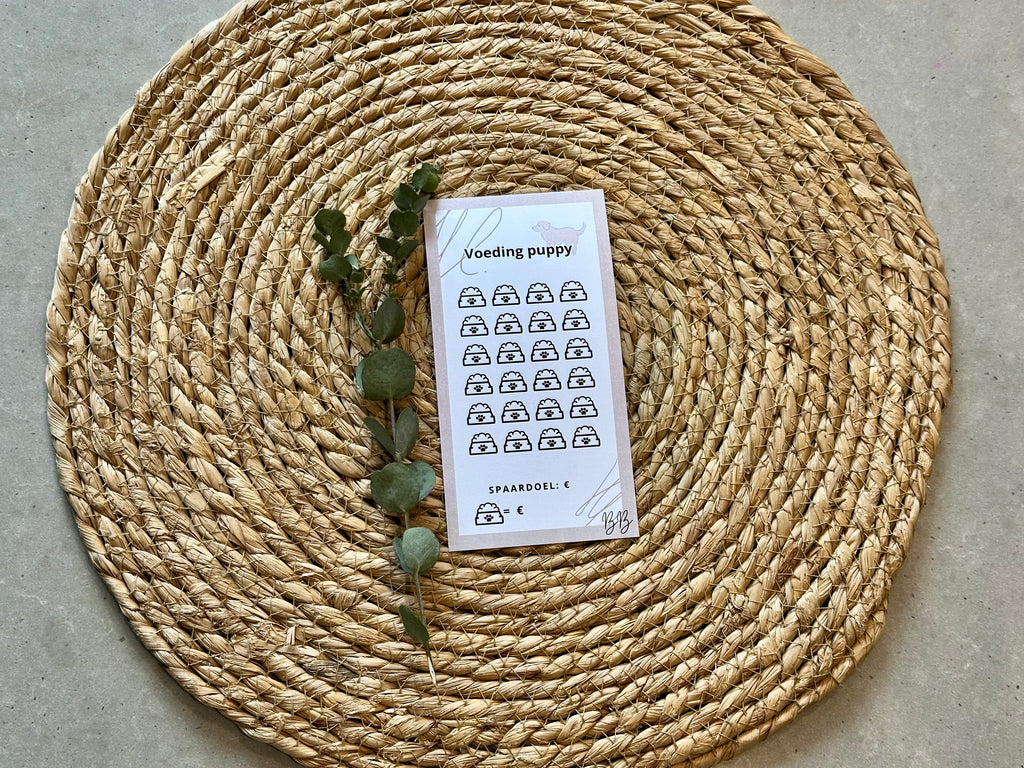A6 Beige Challenges