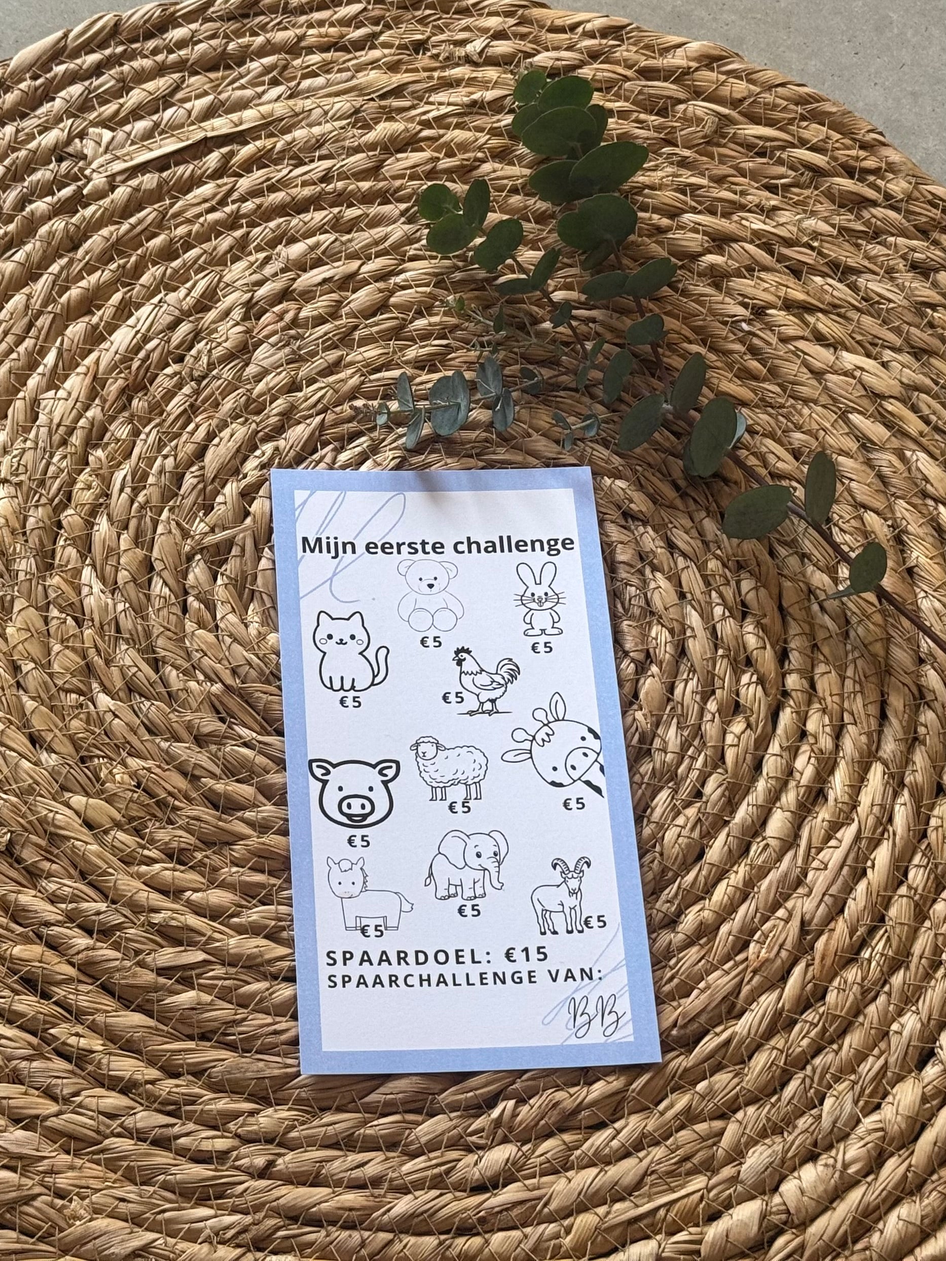 A6 Challenges voor kinderen